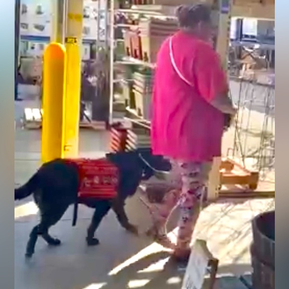 Retro Coconut Shell Bead Bag Bohemian Crossbody Handmade Mobile Phone bag NWT - Picture 5 of 7